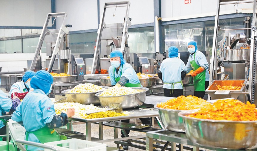 1月19日，梁平高新区重庆上口佳农业开发有限公司，工人在预制菜生产线上忙碌。特约摄影 刘辉/视觉重庆