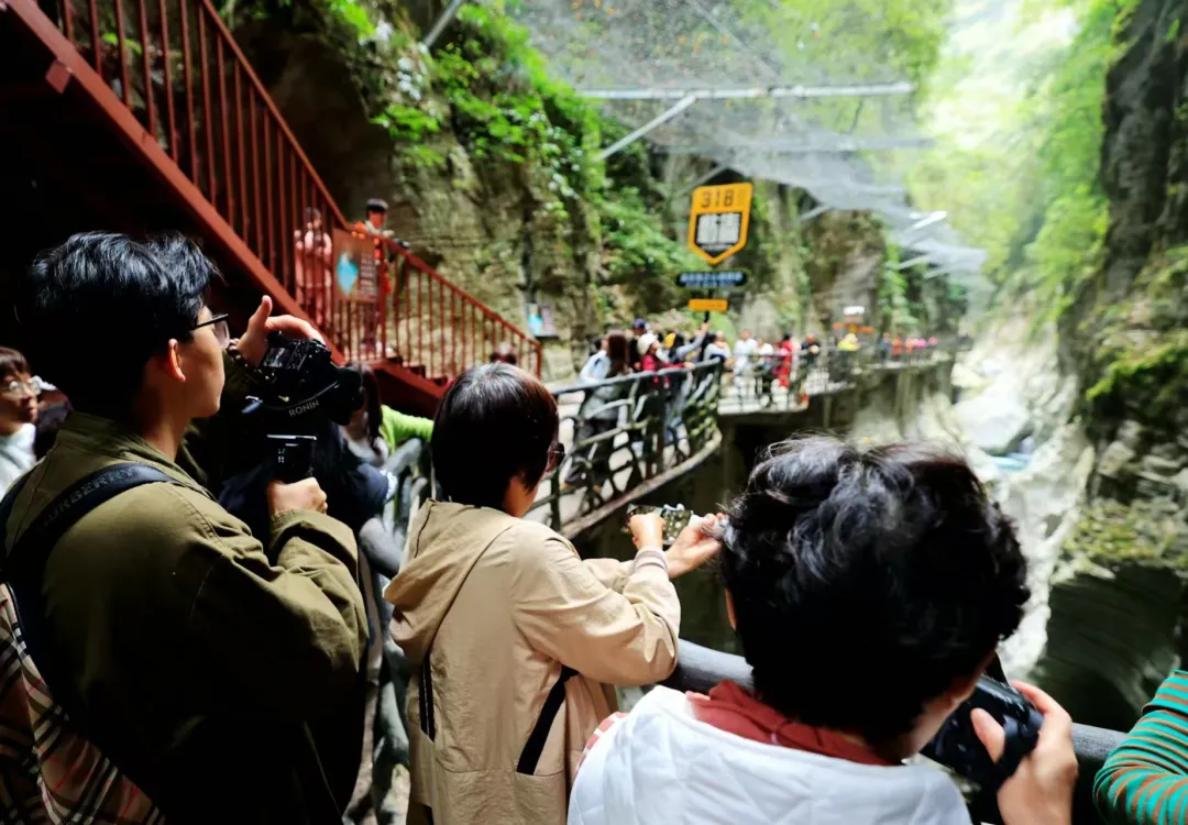 87e1b142b3c44bf384a2ce282aee565c