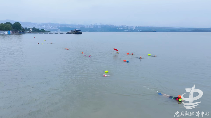 游泳爱好者在长江忠县石宝寨水域畅游。记者  刘超 摄